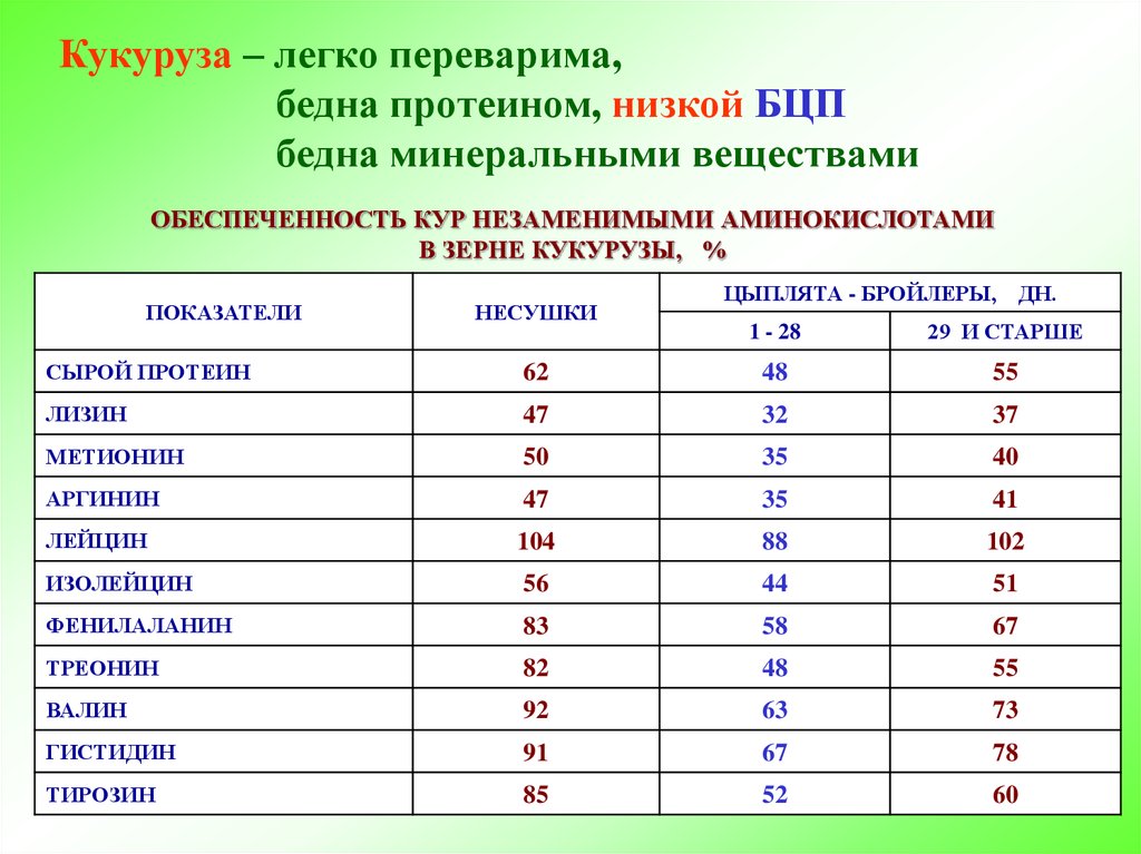 Где находятся питательные вещества в кукурузе. Протеин в кукурузе показатели. Содержание протеина в зерне. Содержание протеина в кукурузе зерне. Протеин в зерновых.