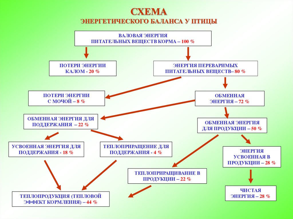 Схема баланса энергии