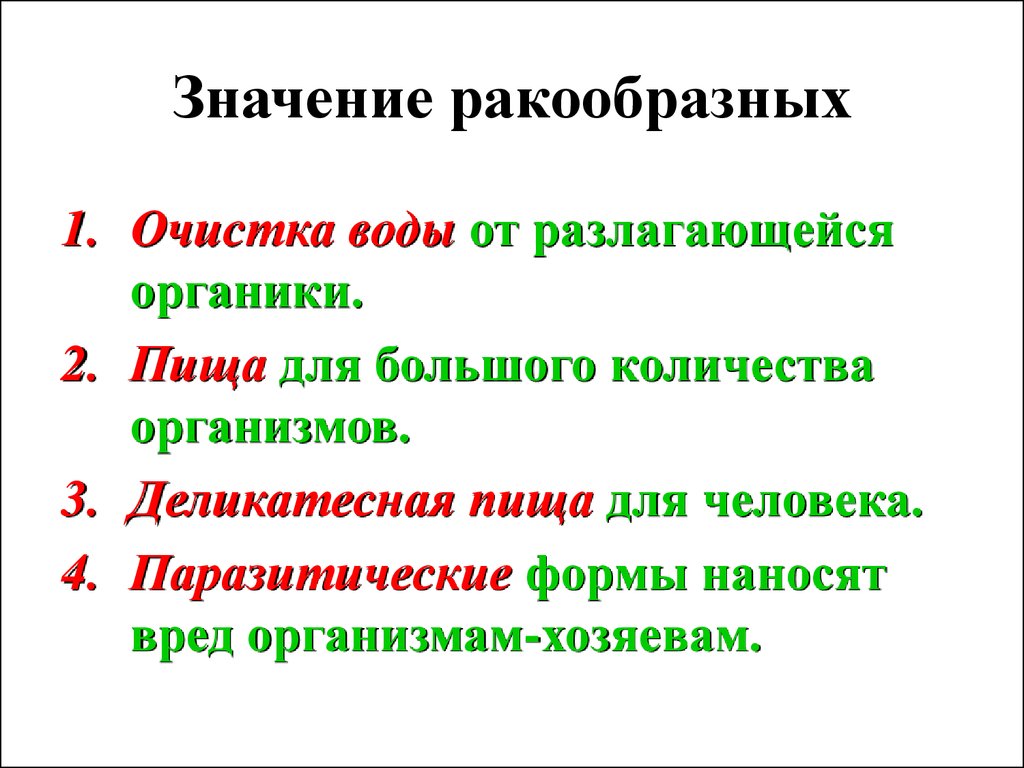 Функции ракообразных. Значение ракообразных в природе и жизни человека 7 класс. Значение ракообразных в природе и для человека. Значение ракообразных 7 класс для человека и в природе. Класс ракообразные значение.