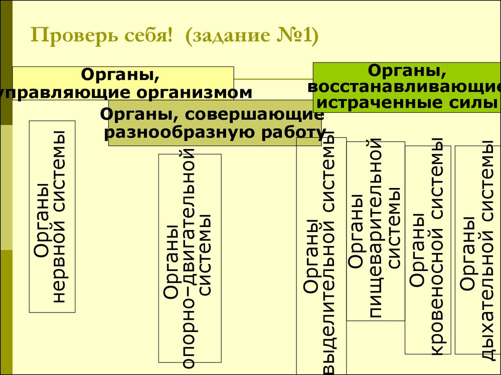 Органы совершающие. Органы восстанавливающие истраченные. Органы управляющие организмом. Органы восстанавливающие истраченные силы окружающий мир. Органы совершающие разнообразную работу.