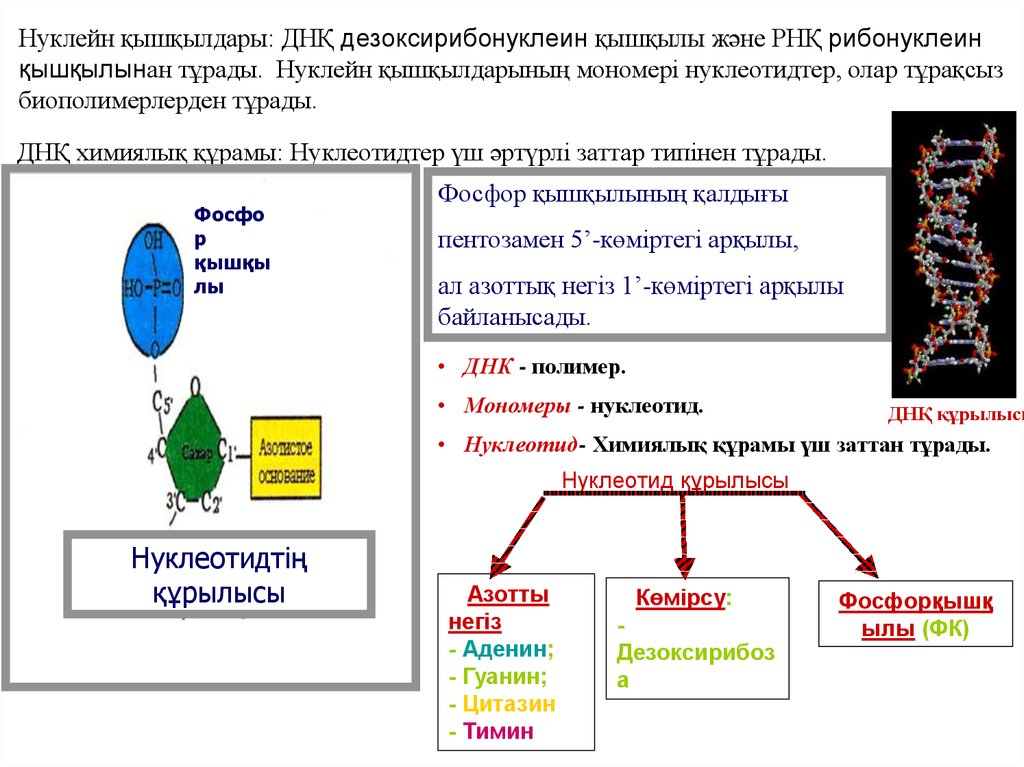 Рекомбинантты днқ алу