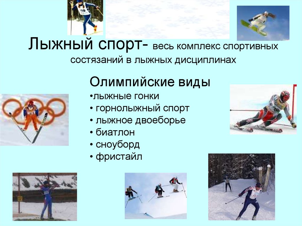 Какие виды спорта относятся к лыжному спорту. Виды лыжного спорта. Разновидности лыжных видов спорта. Информация про лыжи. Лыжный спорт виды соревнований.