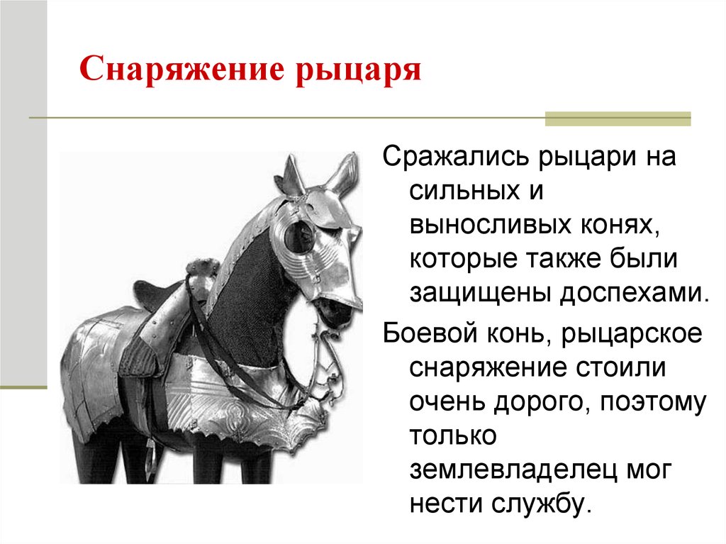 Когда появилось слово рыцарь. Снаряжение рыцаря. Снаряжение рыцаря средневековья. Снаряжение рыцаря средних веков. Рыцарское снаряжение лошади.