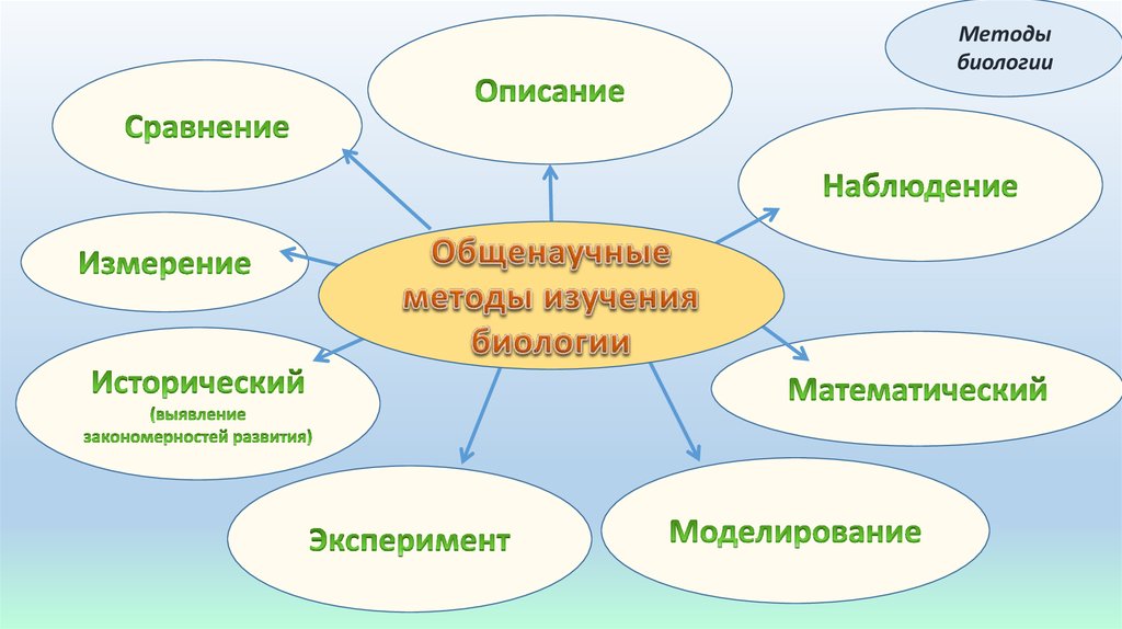 5 класс методы исследования в биологии презентация