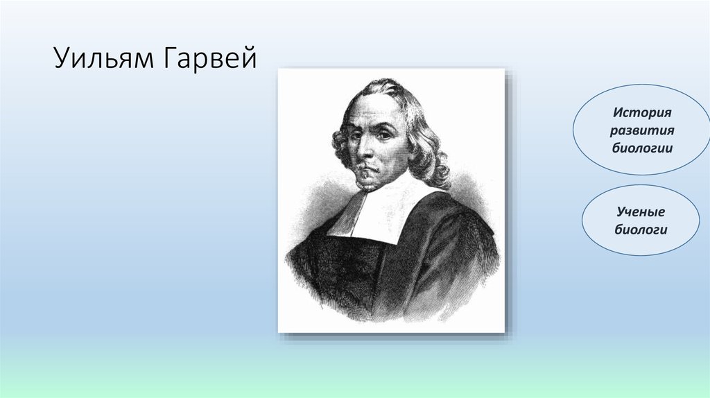 Рассмотрите явление изображенное на рисунке как ученые биологи называют это явление дыхание рост