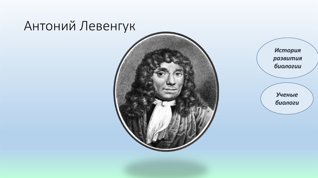 История биологии ученые. Антоний Левенгук. Левенгук ученый. Ученые биологи Левенгук. Левенгук портрет.