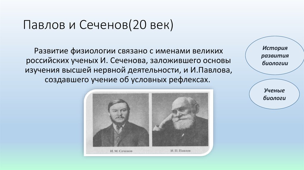 Павлов и Сеченов(20 век)