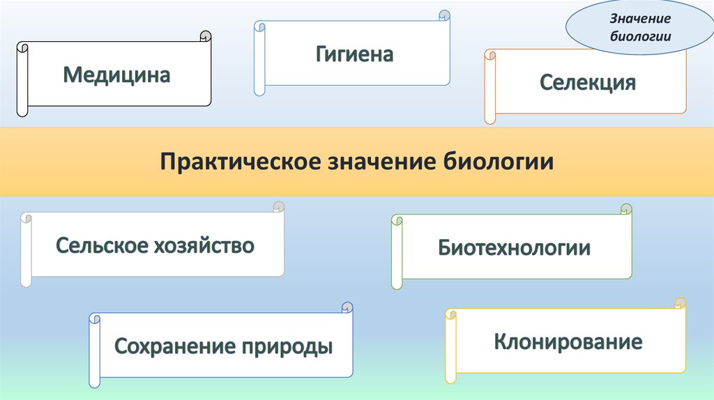 7 значений биологии. Значение биологии. Практическая значимость биологии.