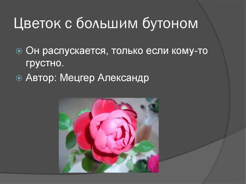 Цветок с большим бутоном