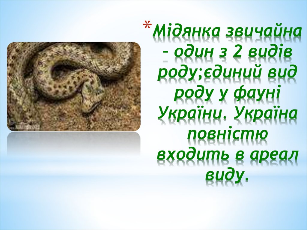 Мідянка звичайна – один з 2 видів роду;єдиний вид роду у фауні України. Україна повністю входить в ареал виду.