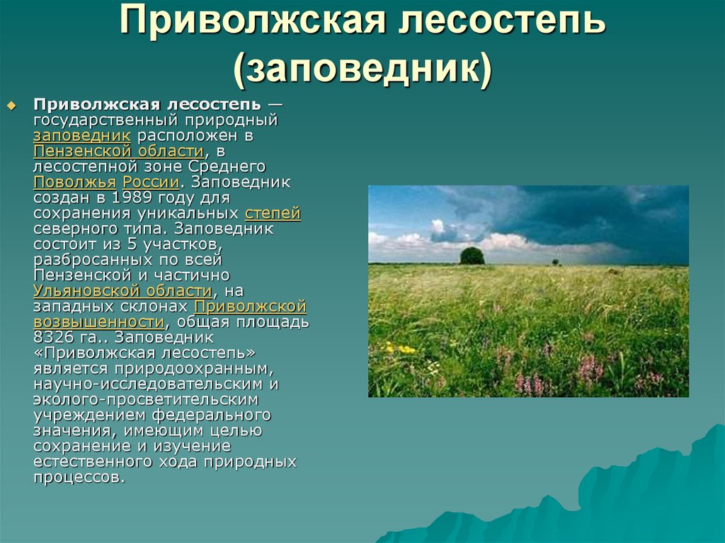 Природные зоны новосибирской области презентация