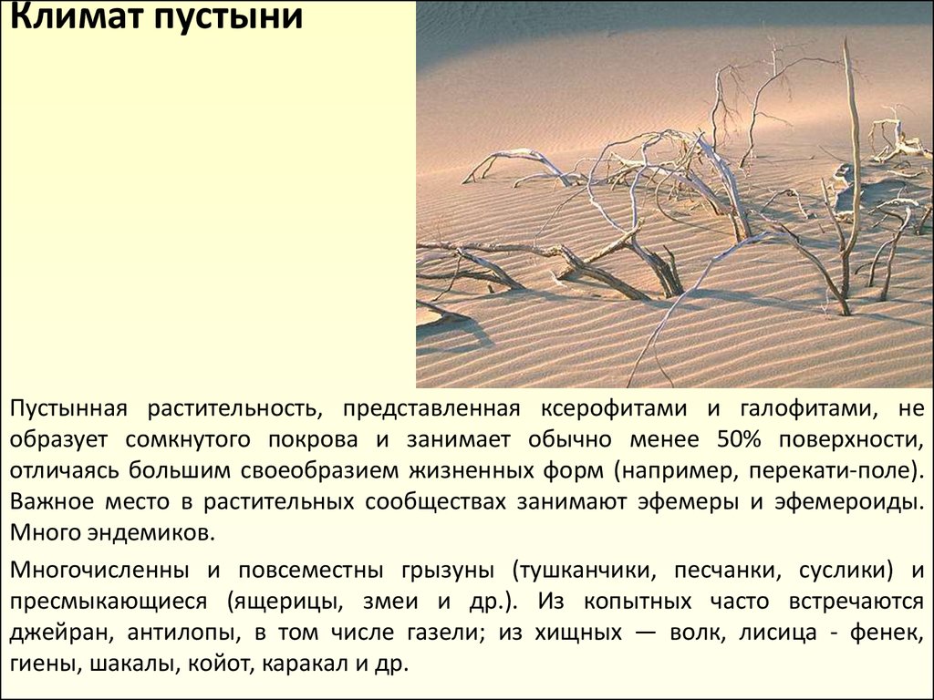 Какой климат в пустыне. Климат пустыни. Особенности климата пустыни. Сообщение о климате в пустыне. Сообщение об климате пустыни.