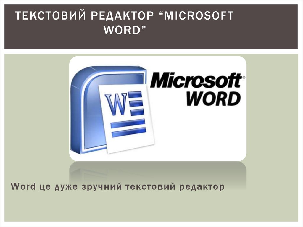 Текстовой редактор microsoft word