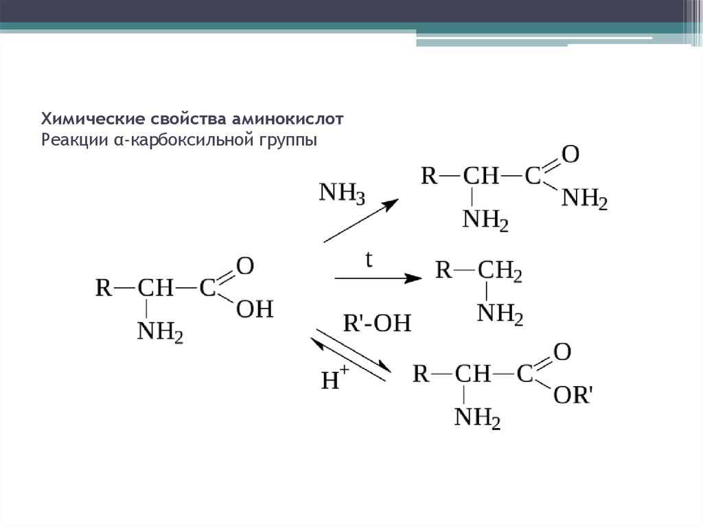 Аминокислоты аминогруппа карбоксильная группа. Реакции аминокислот по карбоксильной группе и аминогруппе. Химические свойства: реакции по карбоксильной группе аминокислот. Реакция по карбоксильной группе аминоуксусной кислоты. Аминокислоты химические свойства реакции.