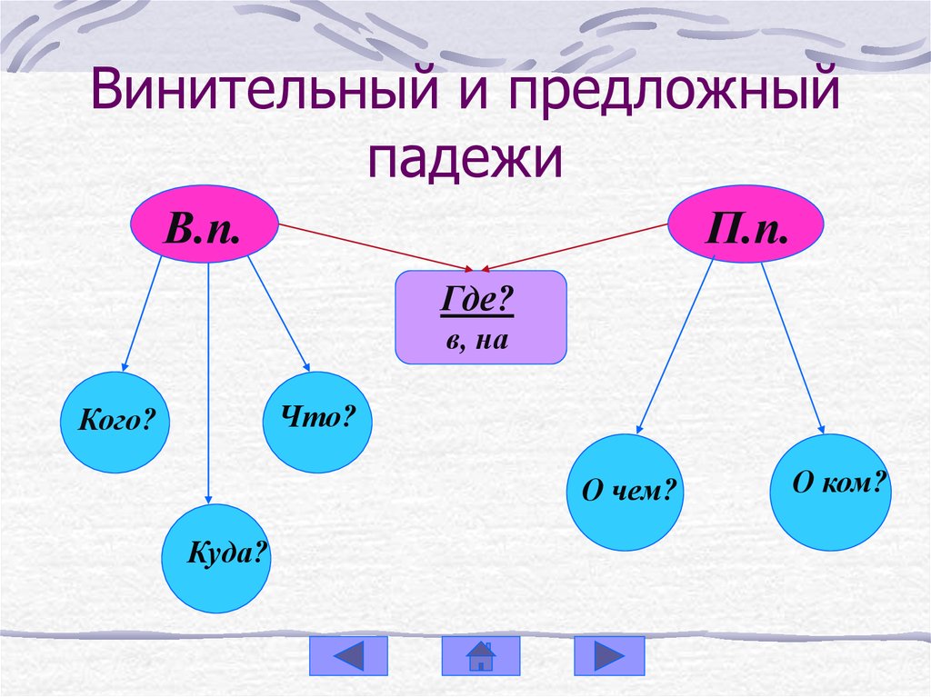 Предложный падеж 3. Как отличить винительный падеж от родительного. Родительный и винительный падеж. Винительный и предложный падежи. Родительный падеж и винительный падеж.