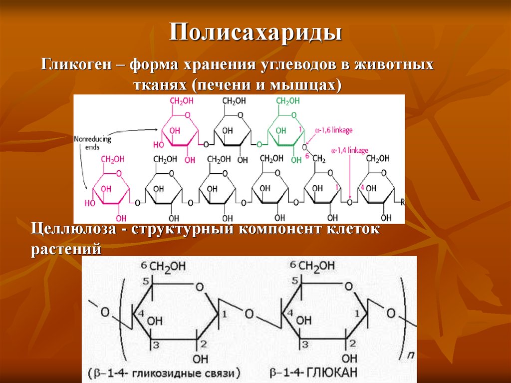Названия групп углеводов. Строение мономера полисахаридов. Моносахариды полисахариды гликоген. Полисахариды состав. Строение полисахаридов структурная формула.