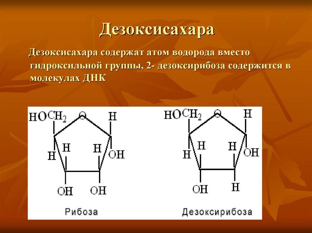 Молекула дезоксирибоза. Дезоксирибоза биороль. Дезоксирибоза биологическая роль биохимия. 2-Дезоксирибоза биороль. Дезоксирибоза Ациклическая формула.