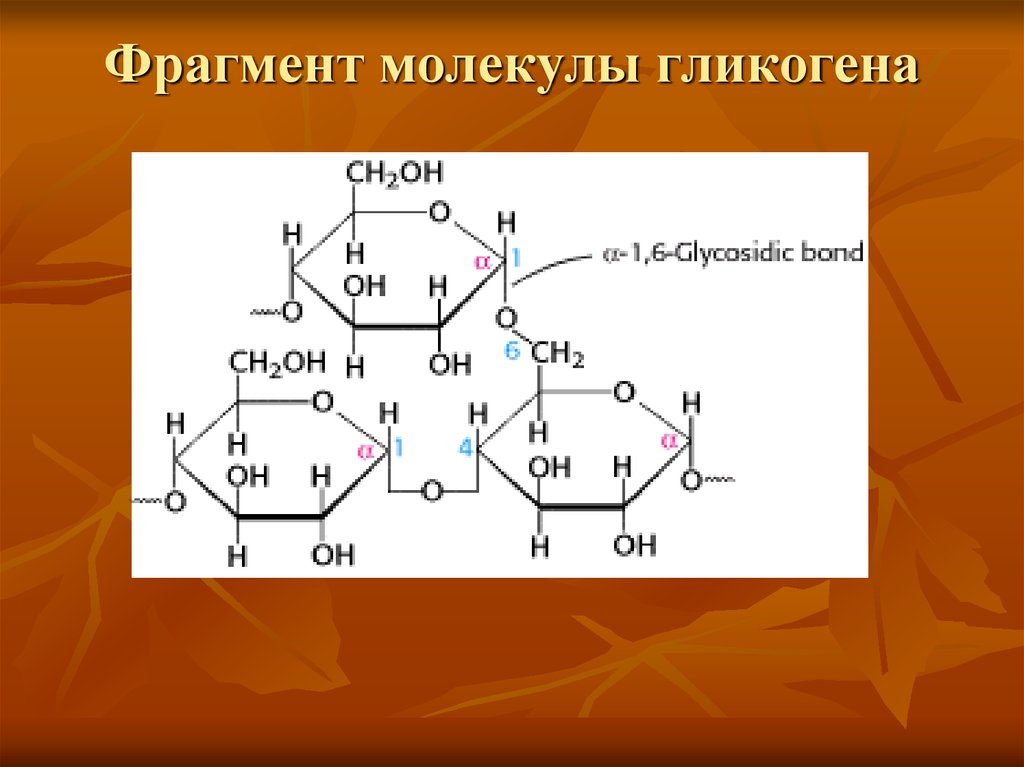 Глюкоген. Молекулярное строение гликогена. Гликоген строение молекулы. Молекула гликогена формула. Гликоген формула и структура.