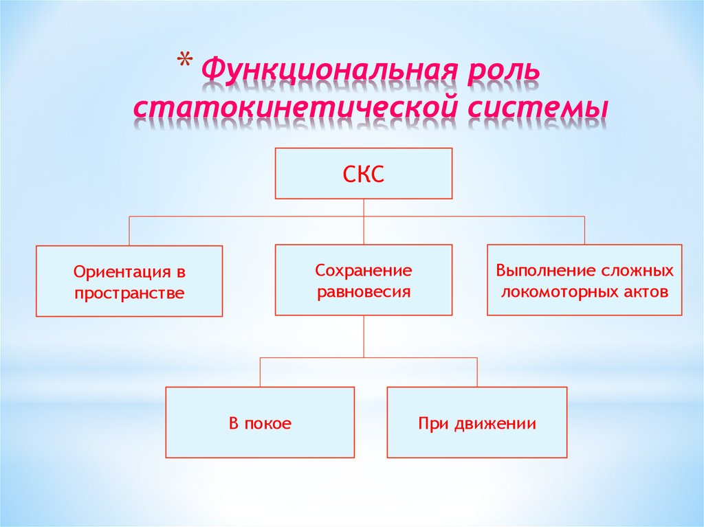 Строение статокинетического отдела уха статокинетический анализатор равновесия презентация