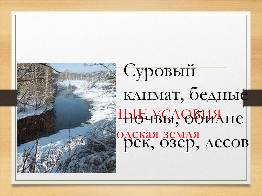 Природно климатические особенности новгородской земли. Природные условия Новгородской земли. Новгородская земля климат. Природно-климатические условия Новгородской земли. Новгородская Республика природа и климат.