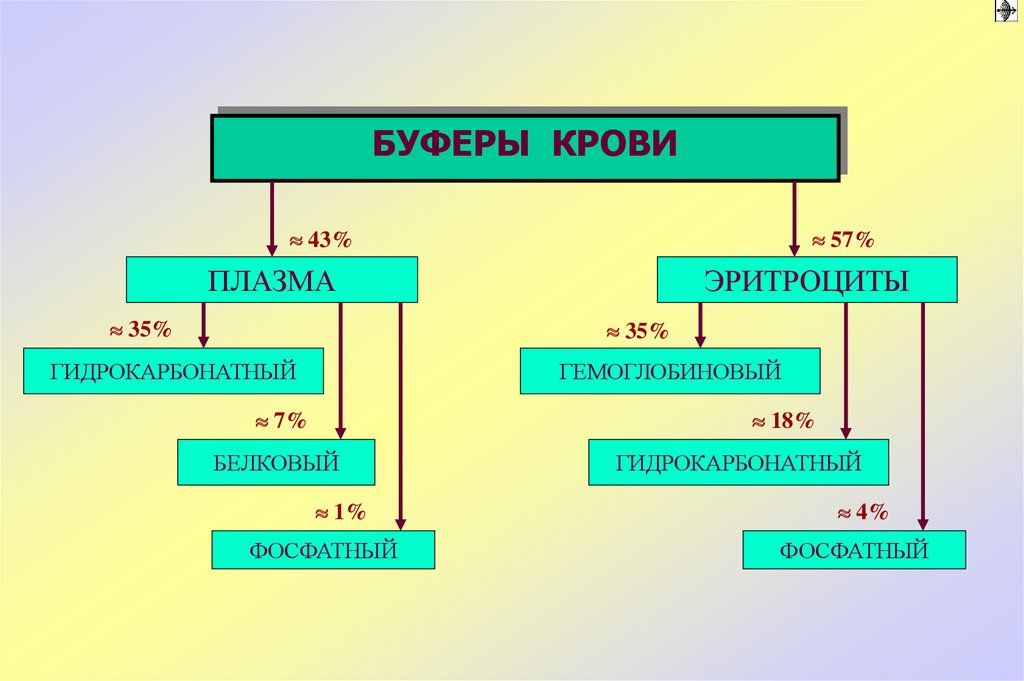 Презентация на тему кислотно щелочное равновесие