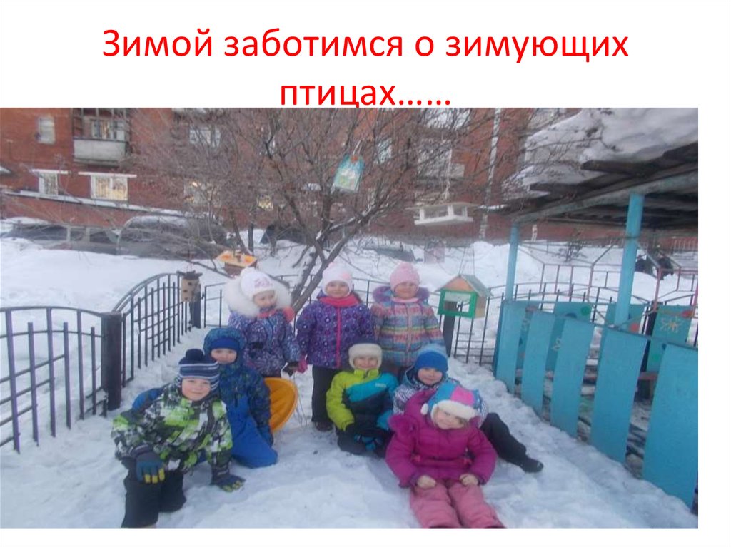 Зимой заботимся о зимующих птицах……