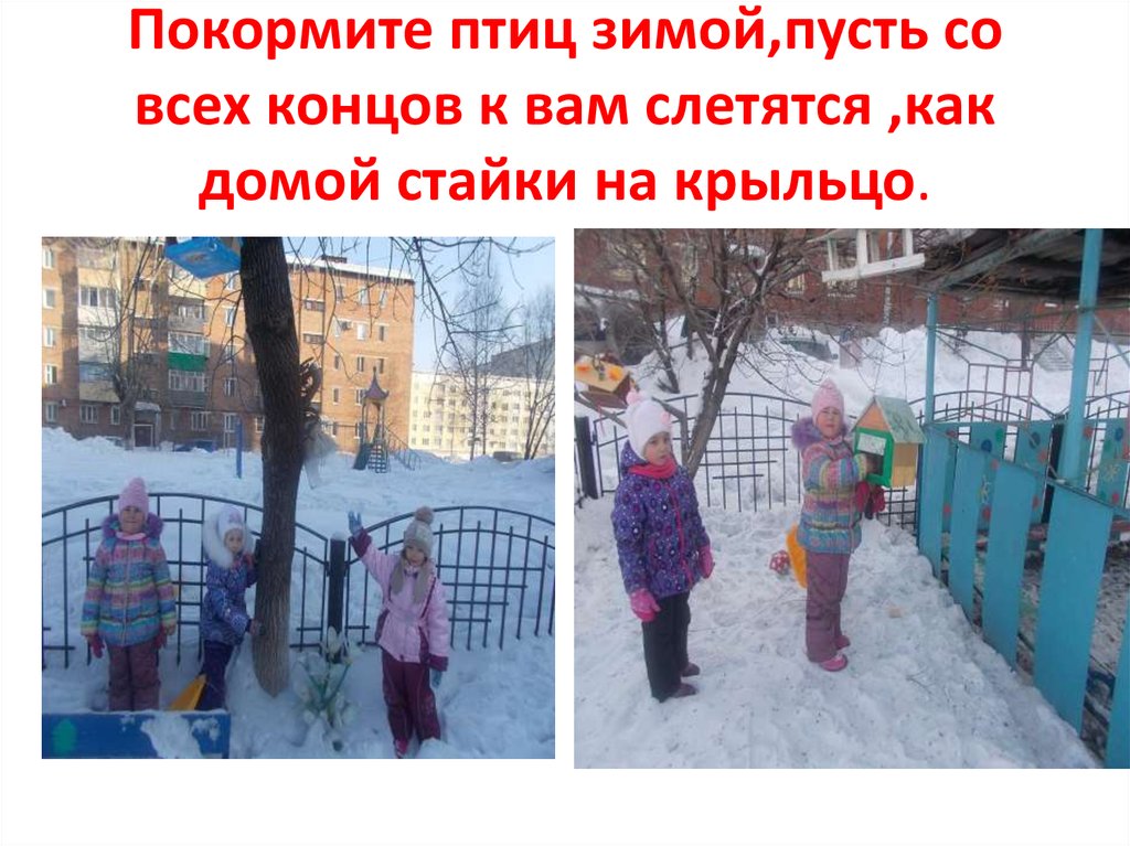 Покормите птиц зимой,пусть со всех концов к вам слетятся ,как домой стайки на крыльцо.