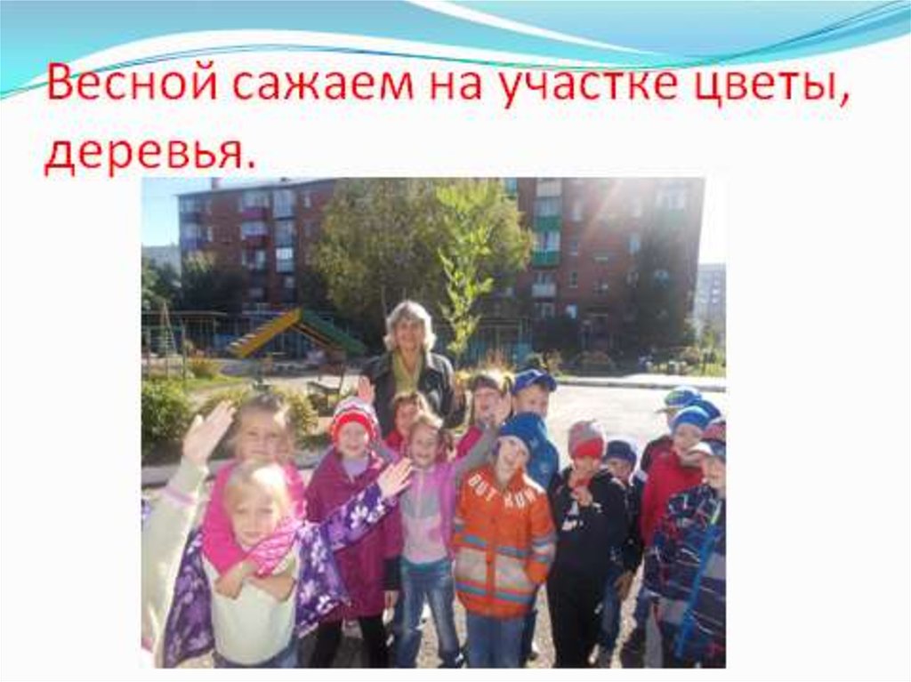 Весной сажаем на участке цветы, деревья.