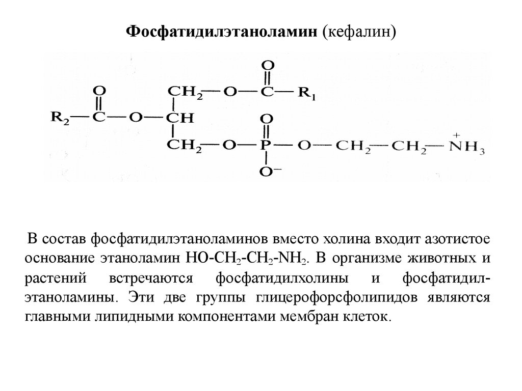 Приведите схему реакции превращения фосфатидилэтаноламина в фосфатидилхолин