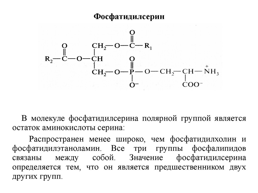 Когнивия фосфатидилсерин. Фосфатидилсерин в фосфатидилэтаноламин. Фосфатидилсерин химическая структура. Структура фосфатидилсерина формула. Фосфатидилсерин строение формула.