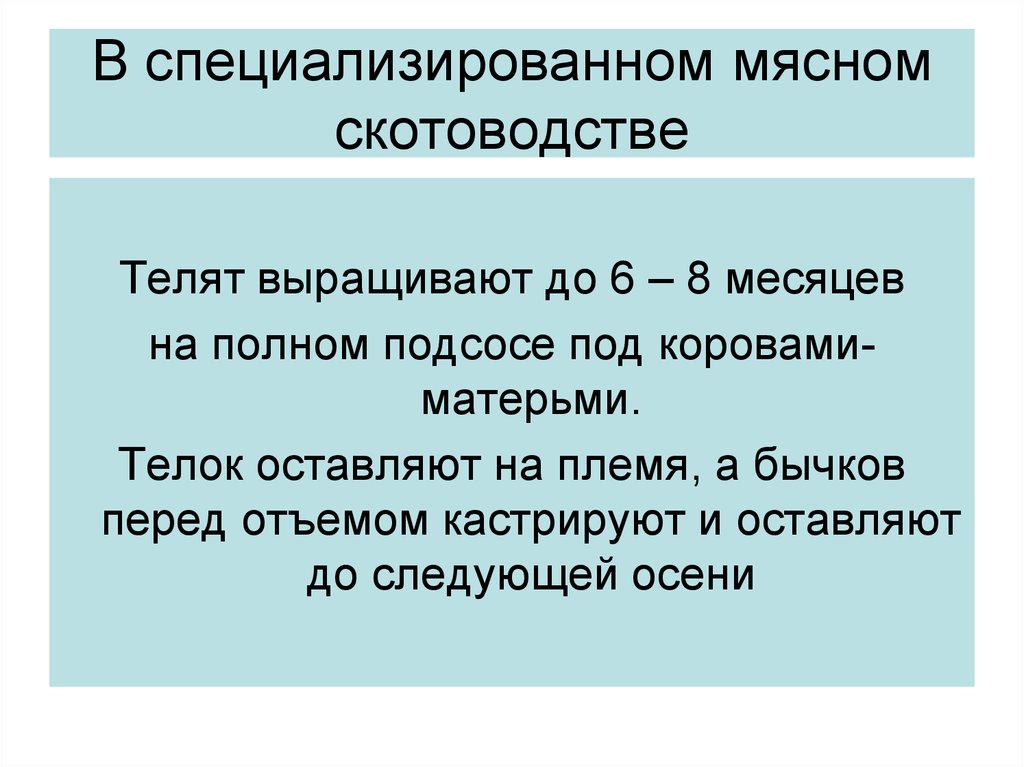 Бизнес план на мясное скотоводство