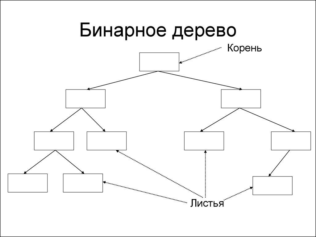 Алгоритм дерева c. Бинарное дерево. Корень бинарного дерева. Алгоритм бинарного дерева. Листья бинарного дерева.