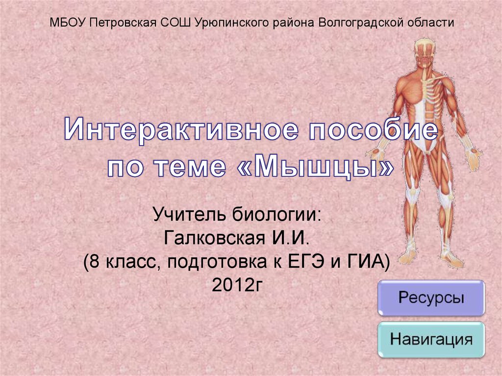 Работа мышц 8 класс биология. Тест на тему мышцы человека. Мышцы 8 класс биология. Контрольная работа по теме мышцы. Проверочная по теме мышцы.