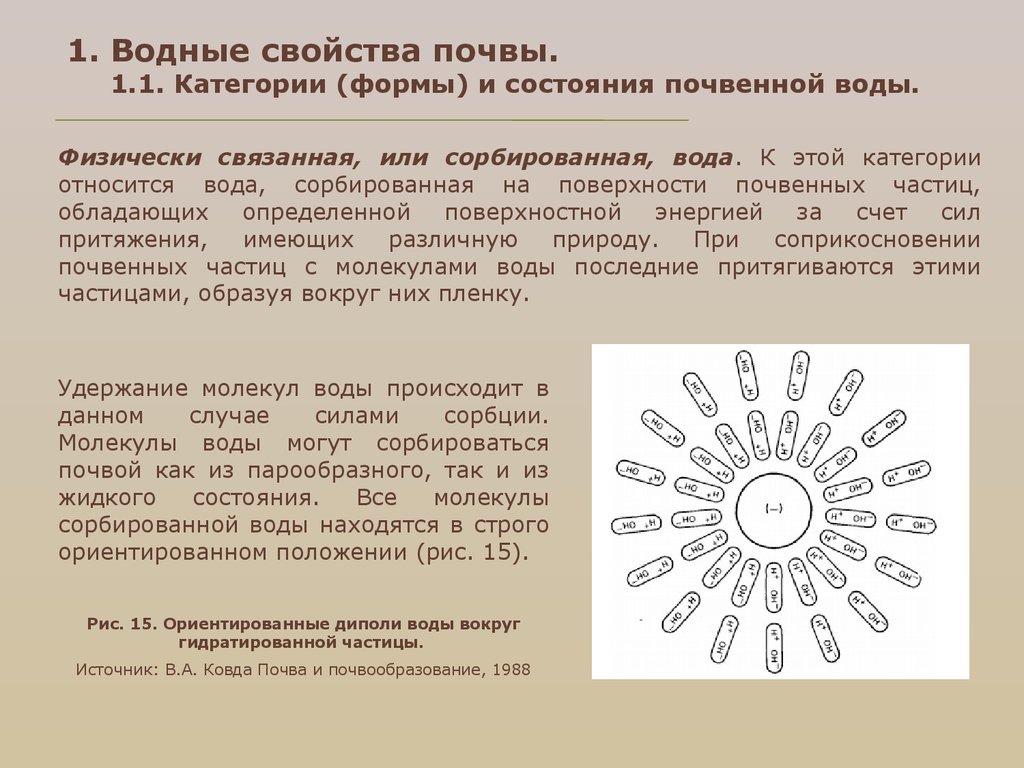 Физически связанная вода. Формы и состояния почвенной воды. Водные свойства почвы. Свойства почвенных вод. Формы воды в почве.