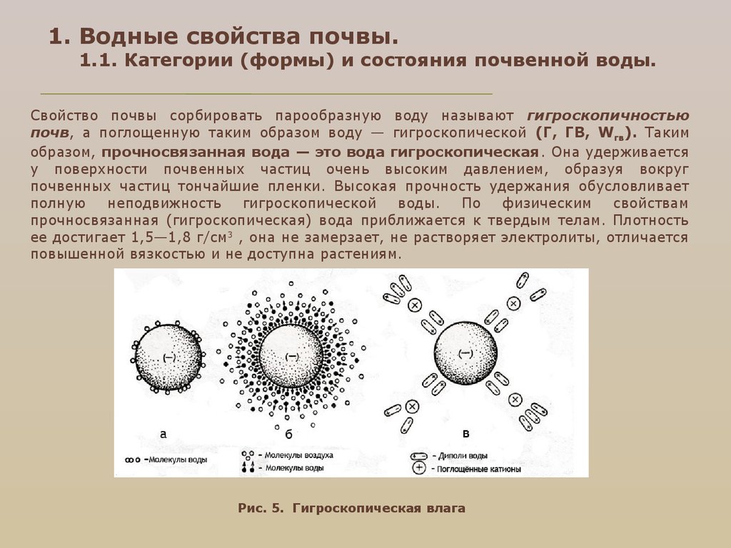 Отличается повышенной. Категории (формы) и состояния почвенной воды. Водные свойства почвы. Гигроскопическая вода. Формы почвенной воды.