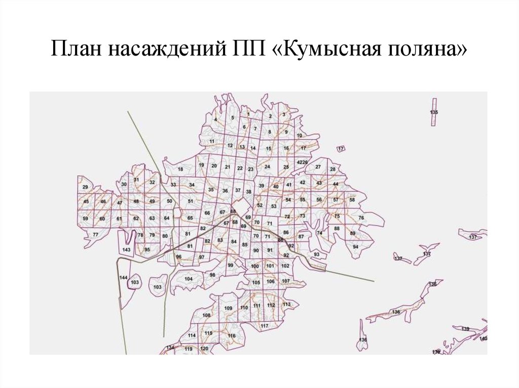 Карта кумысной поляны саратов с тропинками для спортивного ориентирования