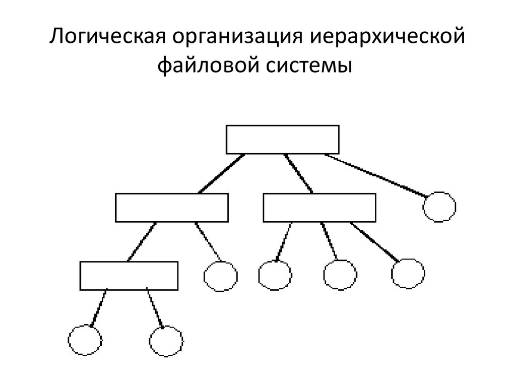 Графическое изображение иерархической структуры называется. Древо файловой системы. Логическая организация файла. Логическая организация файловой системы. Схема иерархической файловой системы.