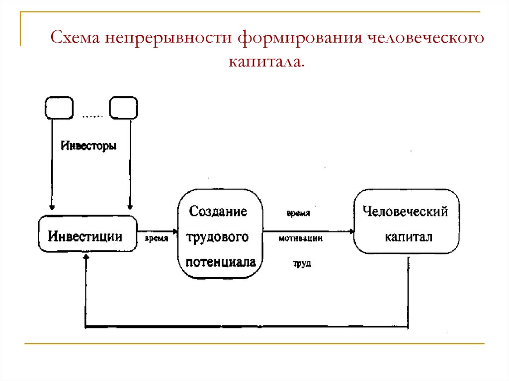 Управление непрерывностью. Схема непрерывности формирования человеческого капитала. Управление человеческим капиталом схема. Непрерывность бизнеса схема. Схема цикличность непрерывность управления.