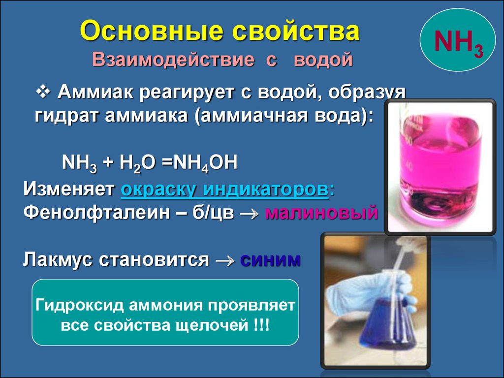 Гидроксид меди 2 и гидроксид аммония. Взаимодействие аммиака с водой. Лакмус и аммиак. Аммиак реагирует с кислотами. Аммиак и вода.