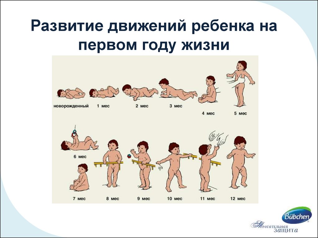 В течении первых 6 месяцев. Формирование движений ребенка первого года жизни. Этапы развития движения ребенка. Схема развития ребенка. Схема развития ребенка до года.