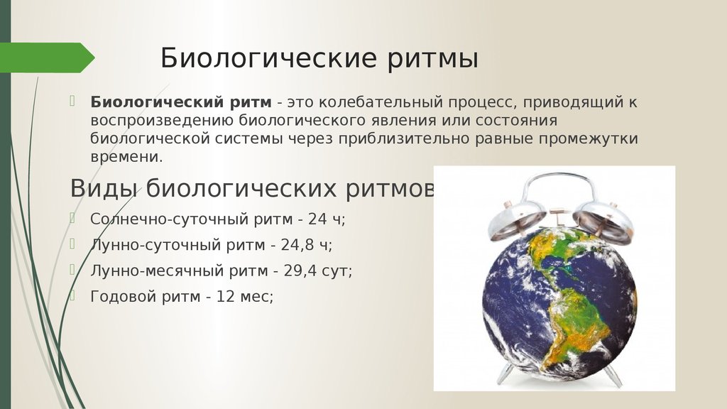 Ритмичность картинки биология огэ