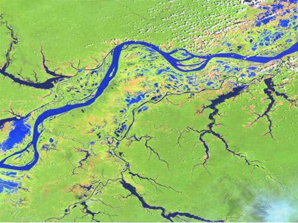 Крупнейшие притоки амазонки. Бассейн реки Амазонка. Дельта реки Амазонка. Бассейн реки амазонки фото. Устье реки амазонки из космоса.