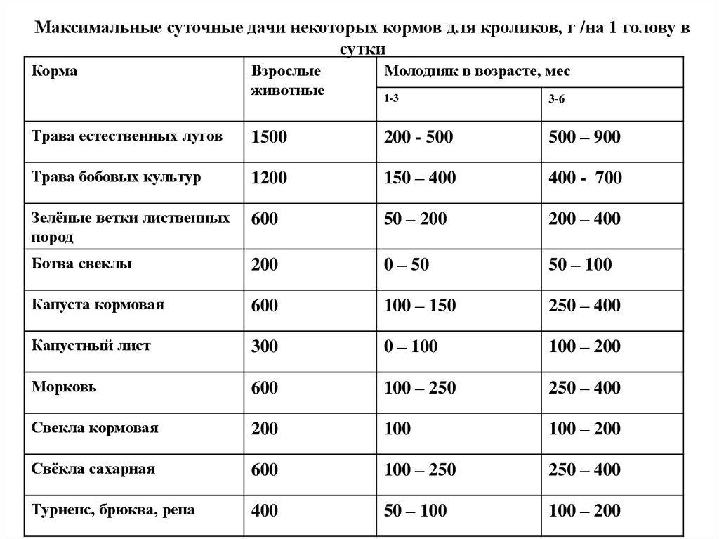 Суточные сутки. Максимальные суточные. Норма комбикорма для кроликов в сутки на 1. Норма корма для кроликов в сутки на 1 голову. Суточная норма комбикорма для кроликов.