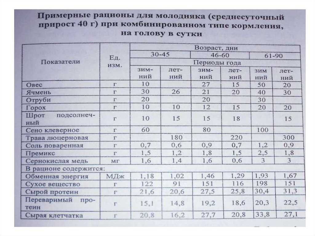 Рацион кормления. Рацион кормов для Бычков на откорме. Рацион кормления КРС на откорме. Таблица кормления КРС на откорме. Рацион для молодняка КРС.