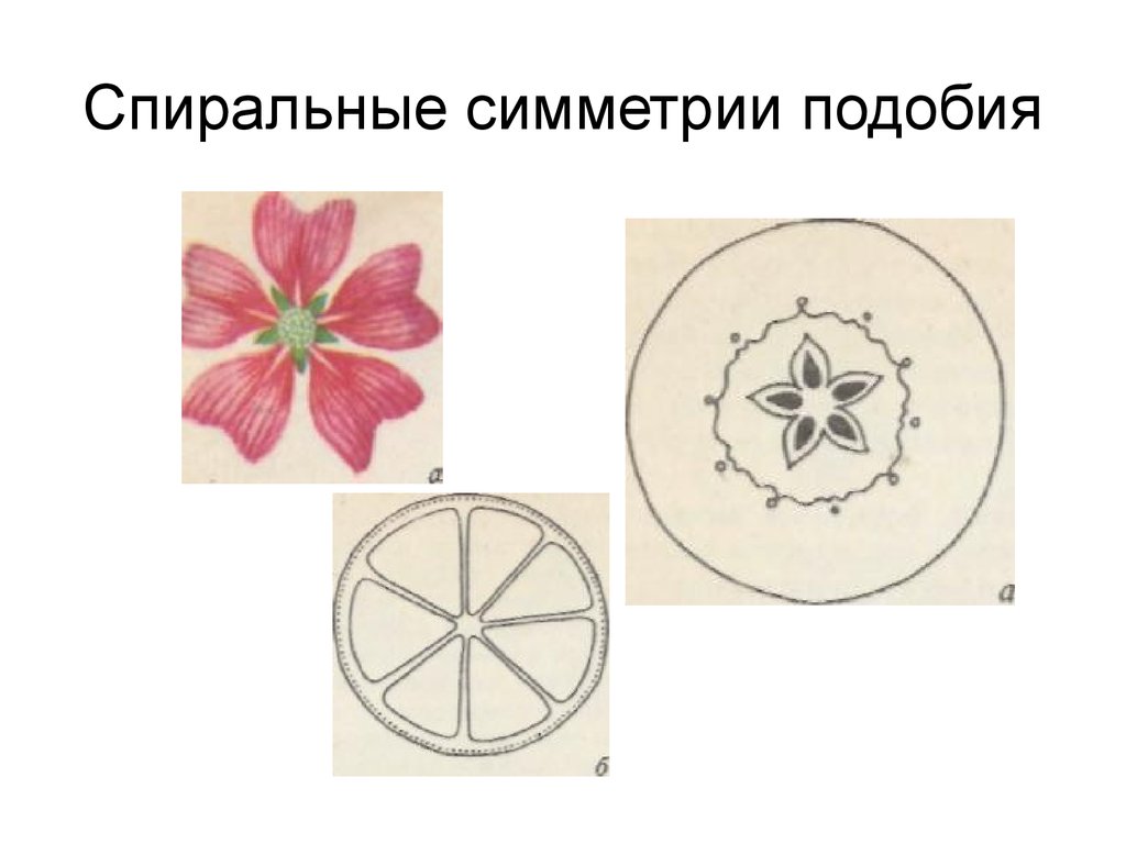 Симметрия подобия картинки