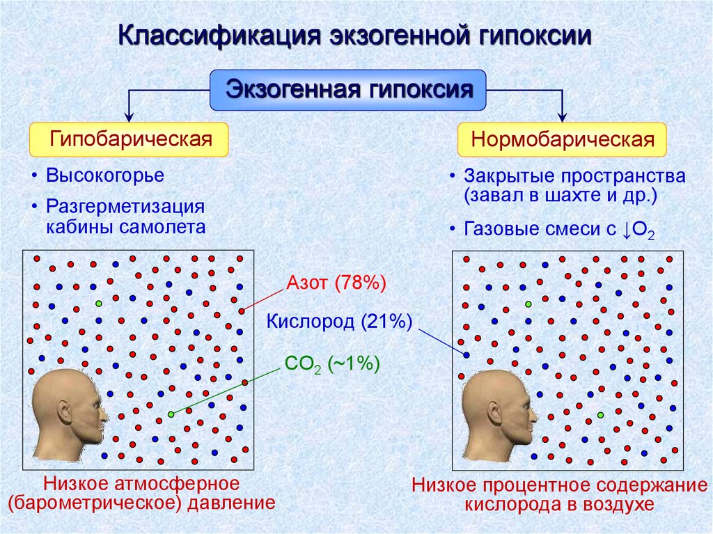 Презентация на тему гипоксия