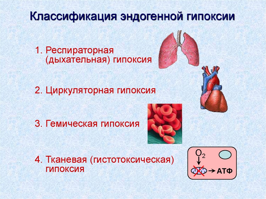 Причины дыхательной гипоксии. Гипоксия. Гемическая и циркуляторная гипоксия. Тканевая (гистотоксическая) гипоксия. Классификация эндогенной гипоксии.