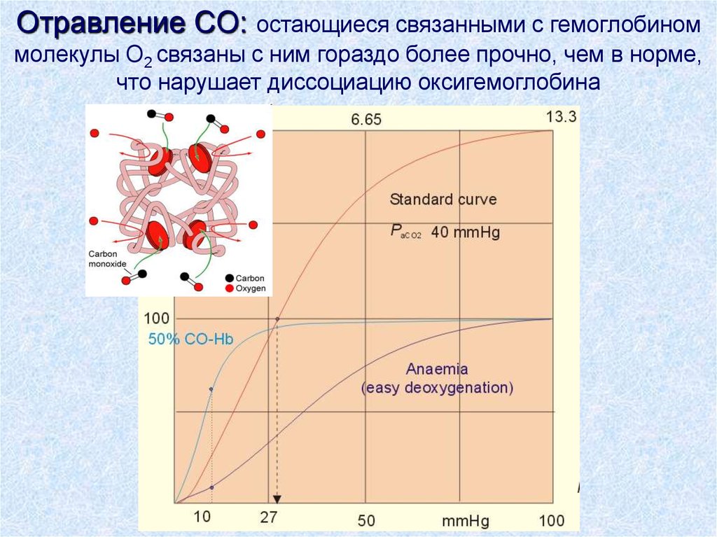 Диссоциация оксигемоглобина