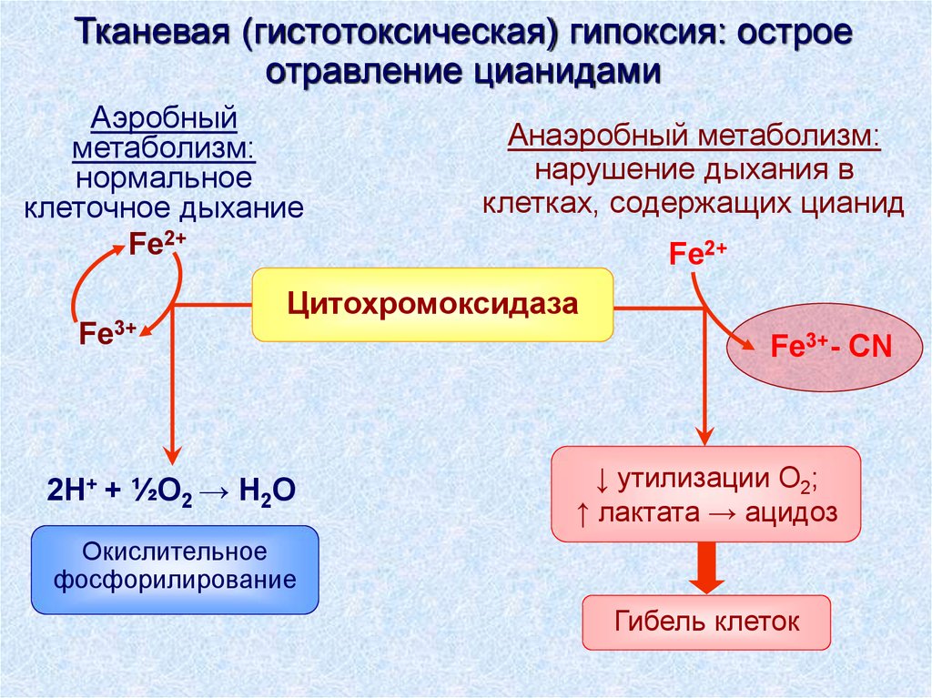 Презентация гипоксия по патологии