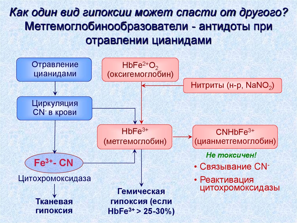 Схема метаболического пути в ходе которого происходит утилизация кислорода в тканях